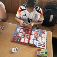 WM 2026 Sticker & Karten Tauschbörse