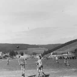 1951
